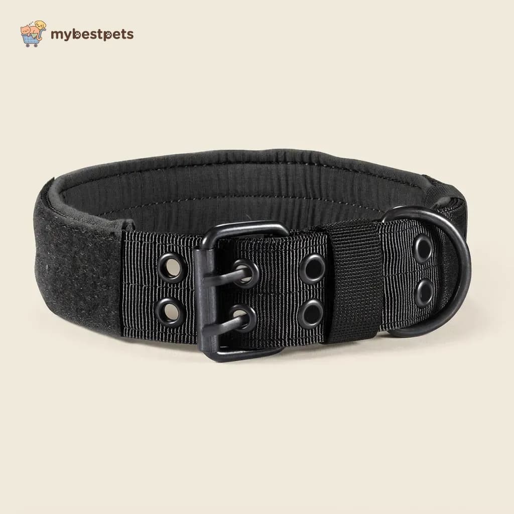 Wide Tactical Dog Collar with Padded Lining and Patch Panel