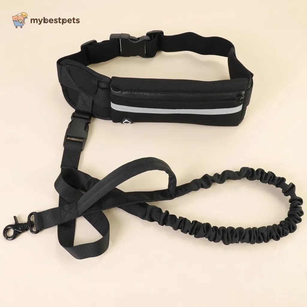 Hands-Free Dog Leash with Waist Belt, Bungee and Phone Pocket