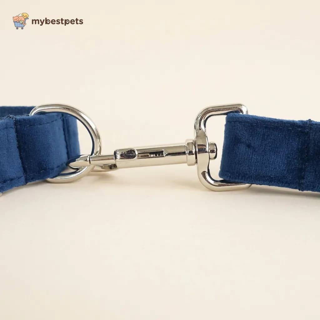 Velvet Dog Collar, Bow Tie and Leash, Mix and Match